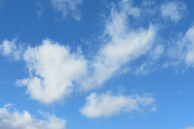 クラウド・ソフトウェア