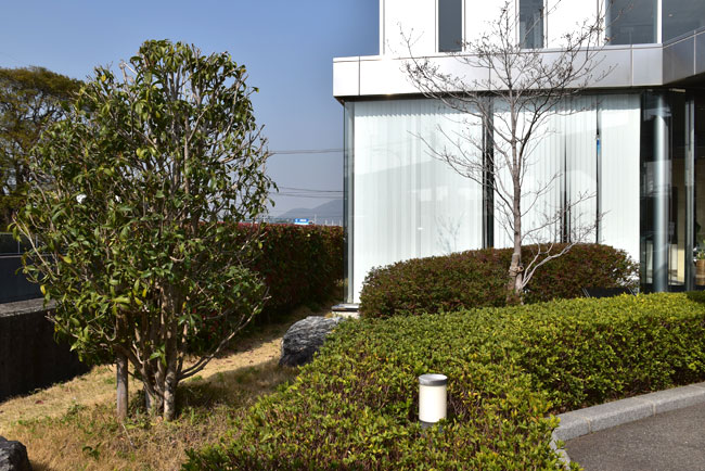 自社ビル 正門前庭