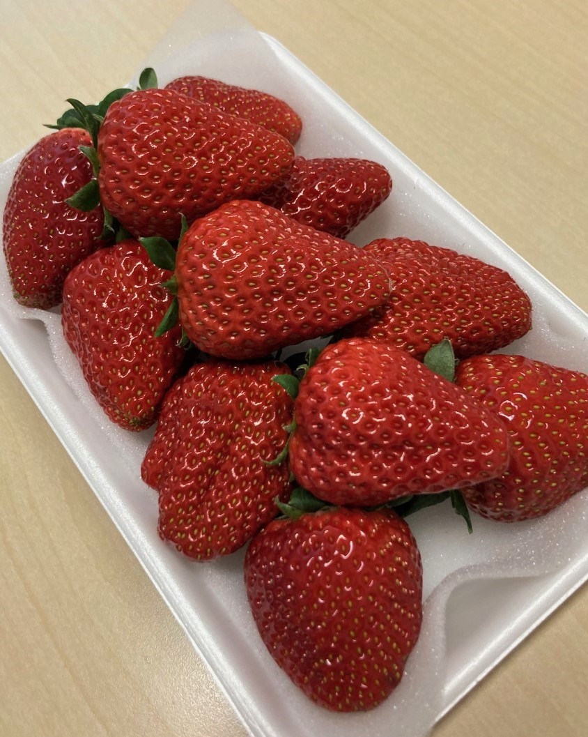 「今年も88マーチさんがやってきた!」関連画像