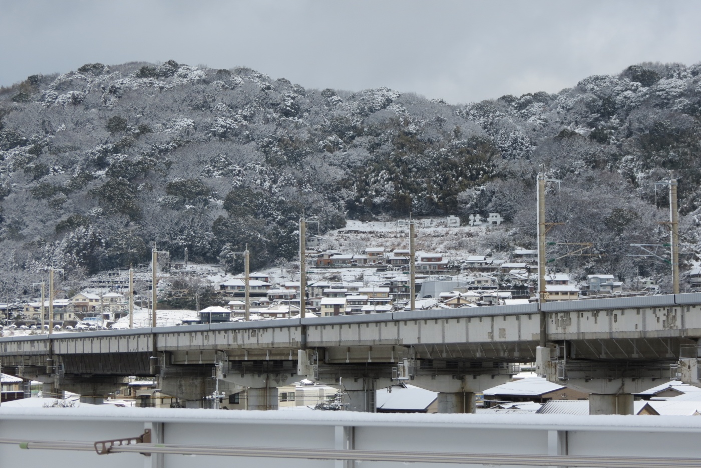 「10年に一度の...」関連画像
