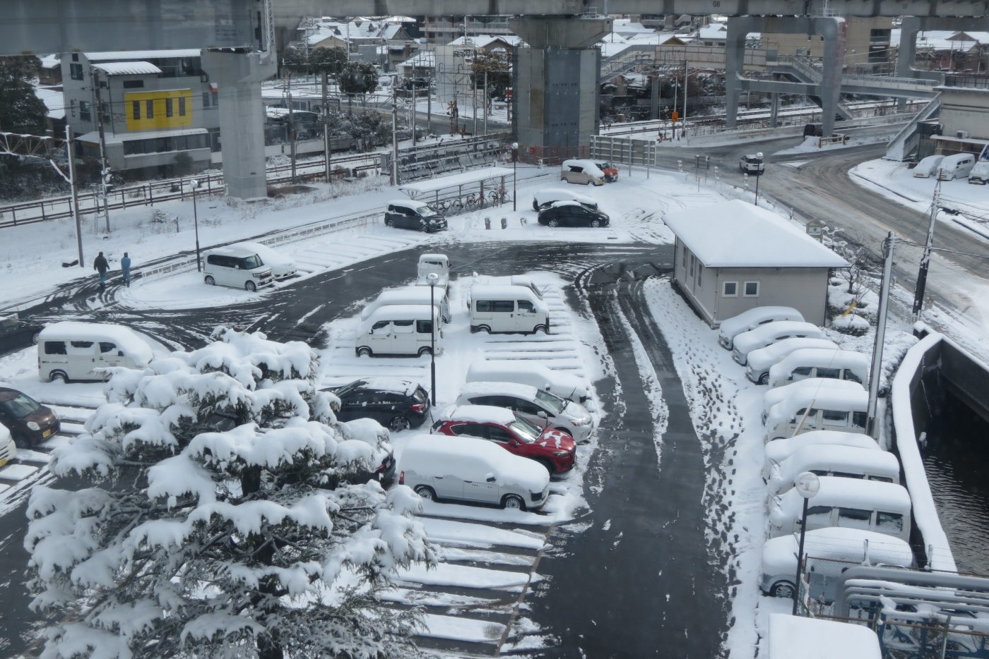 「10年に一度の...」関連画像