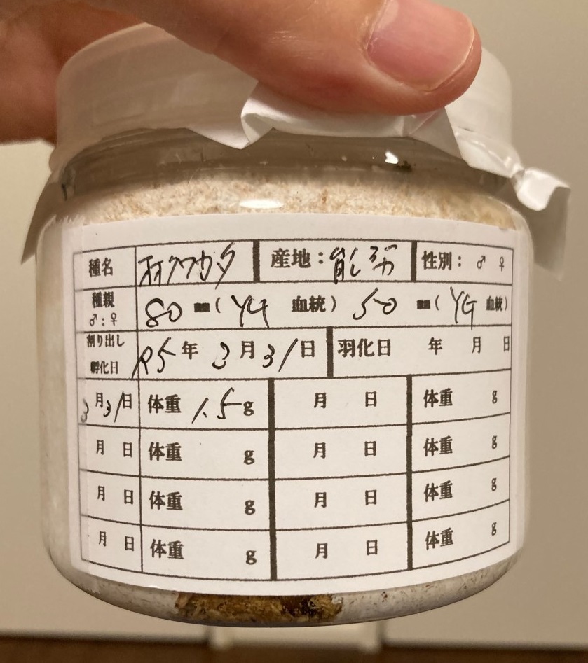 「黒いダイヤモンド!?」関連画像