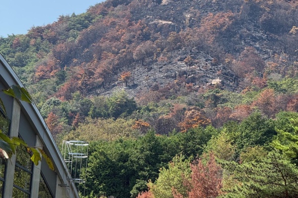 山口県セミナーパークにて